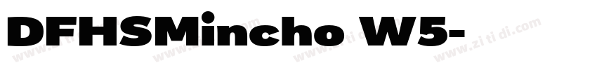 DFHSMincho W5字体转换